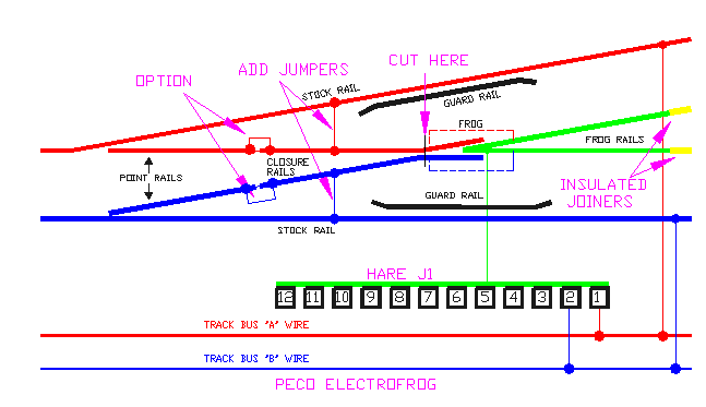 Hare Electrofrog wiring example