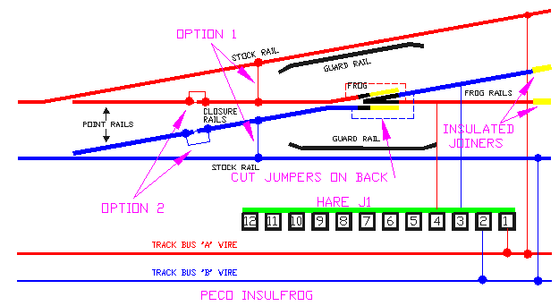 Hare Insulfrog diagram